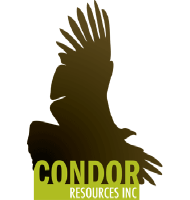 CONDOR RESOURCES INC