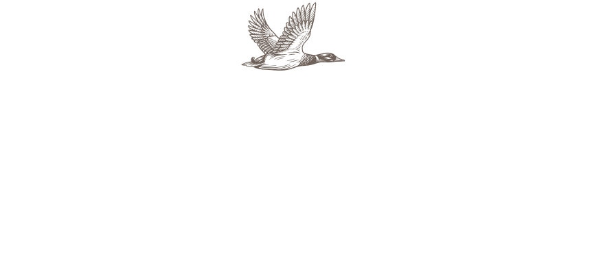 THE DUCKHPORTFOLIO INC