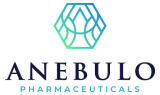 ANEBULO PHARMACEUTICALS INC