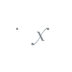 DIREXION SHARES ETF TRUST - DIREXION DAILY GOLD MINERS INDEX BULL 2X SHARES