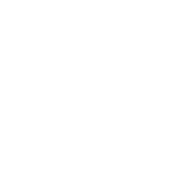 BITWISE CRYPTO INDUSTRY INNOVATORS ETF