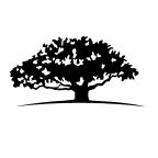 WISDOMTREE ENHANCEDCONTINUOUS COMMODITY INDEX FUND